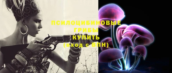 амф Богородицк