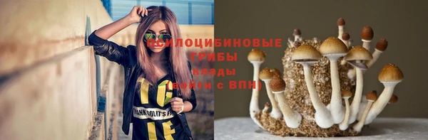 амф Богородицк